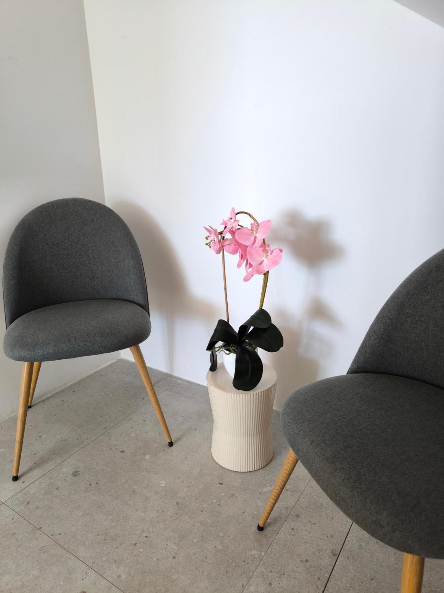 Astramaris Apartments Donji Okrug  エクステリア 写真